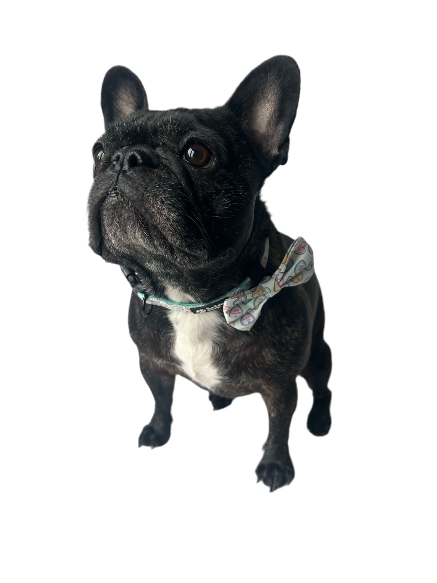 'Barks and Kisses' Bow