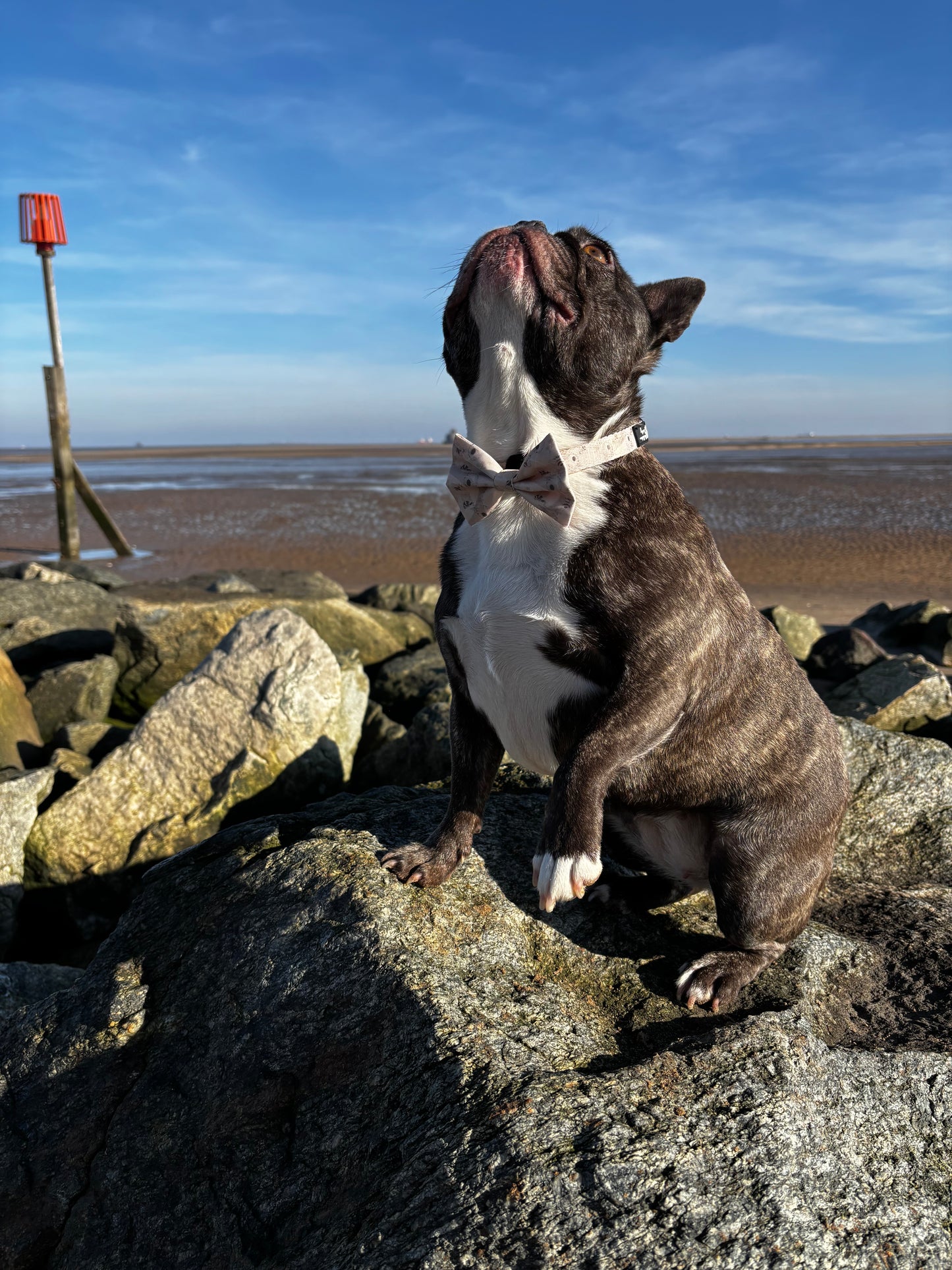 “Sweet as can Bee” Bow