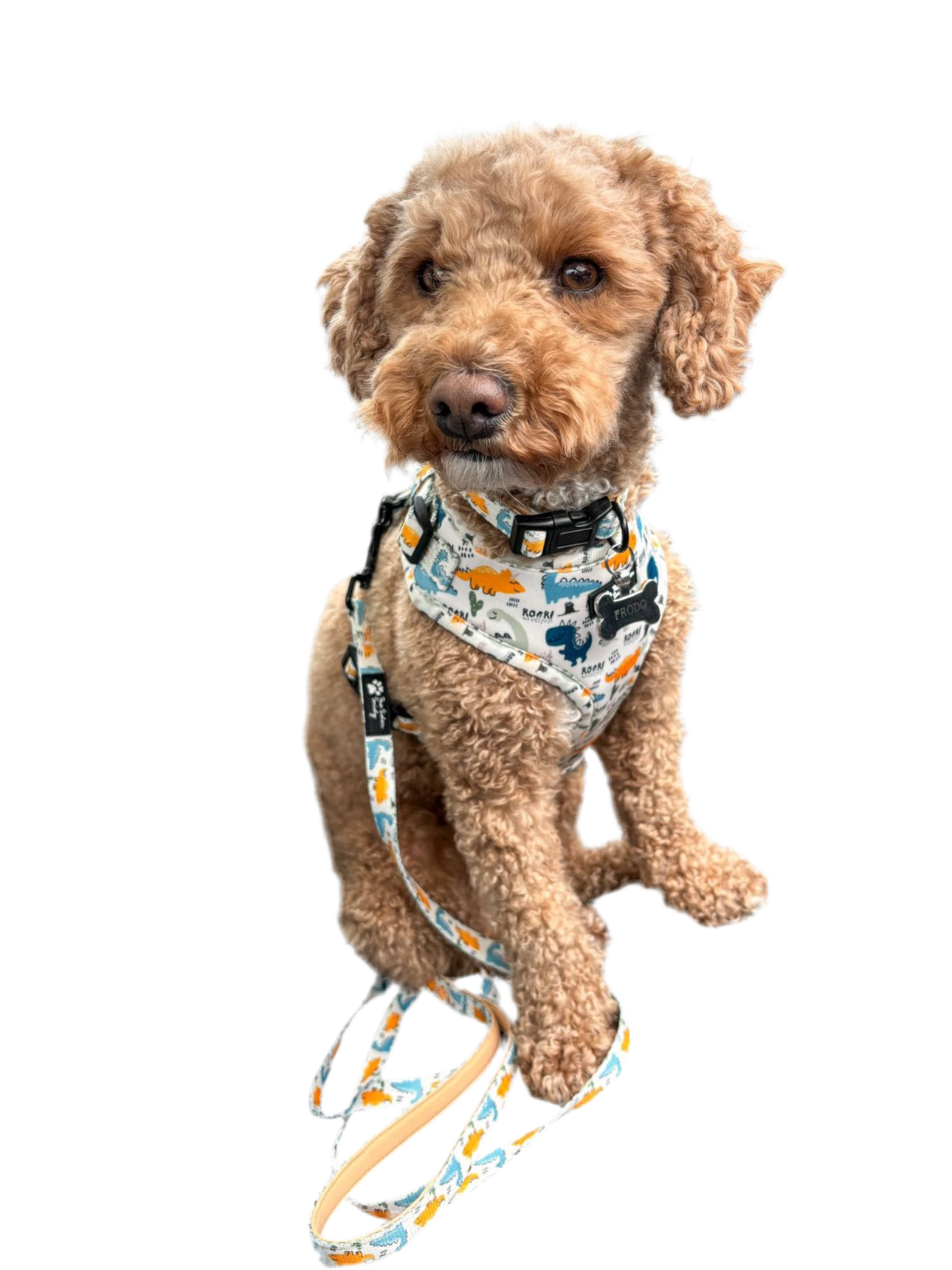 'Talk Dino to me' Harness