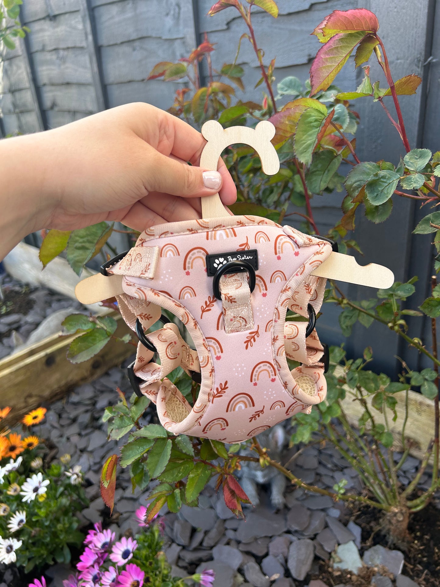 Chasing Rainbow Bundle 🌈