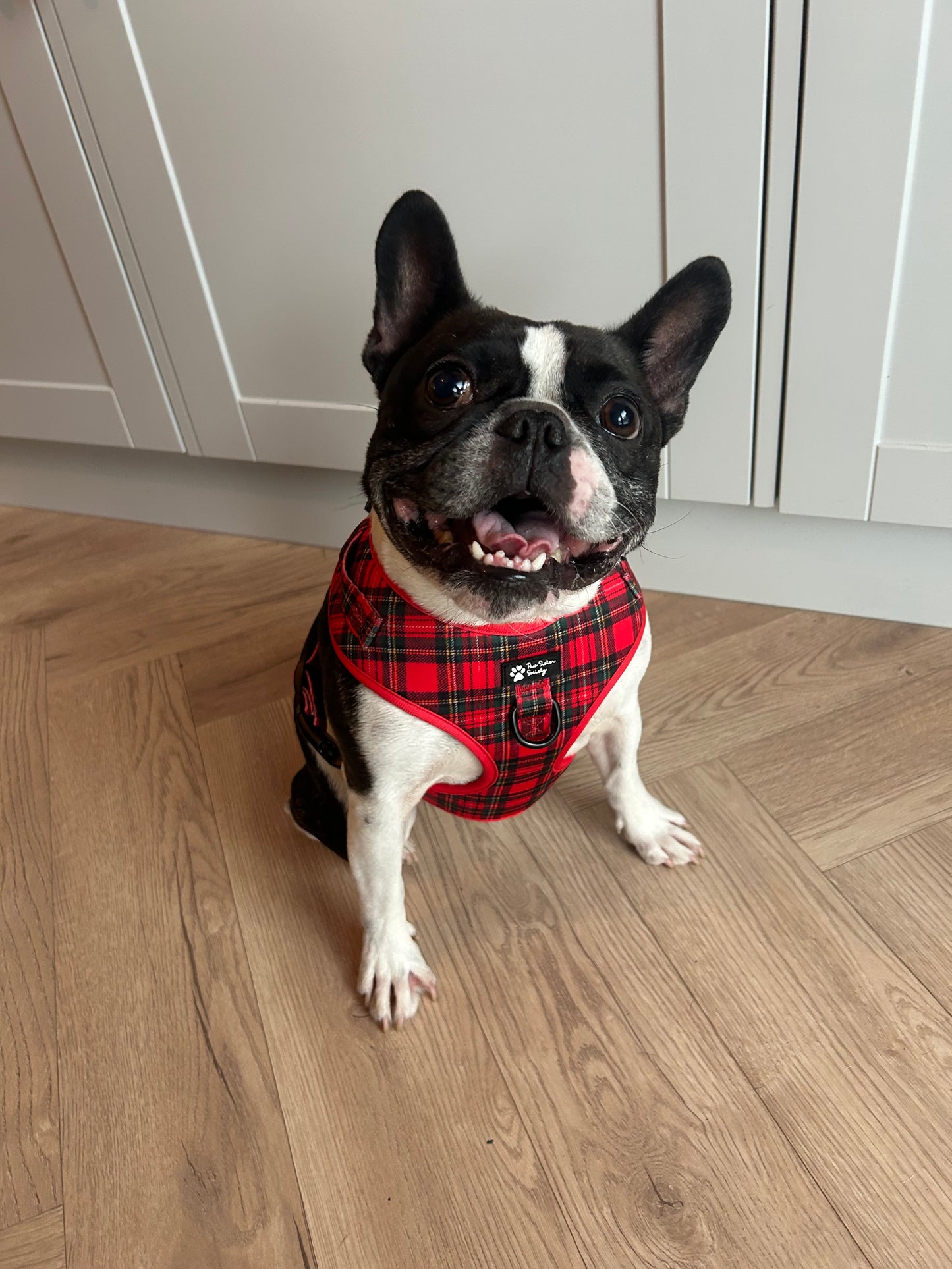 Tartan Tail super Bundle