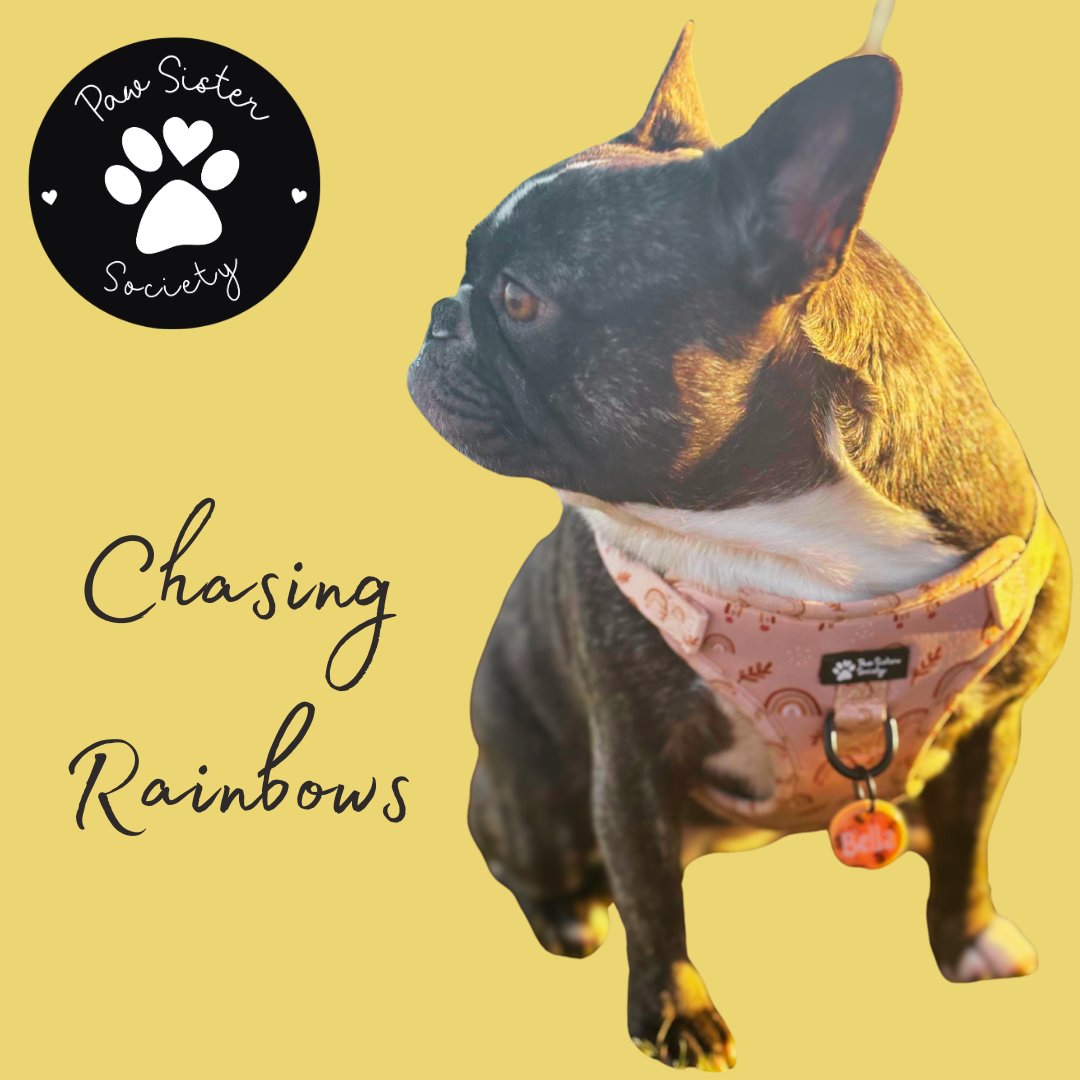 Chasing Rainbows collection