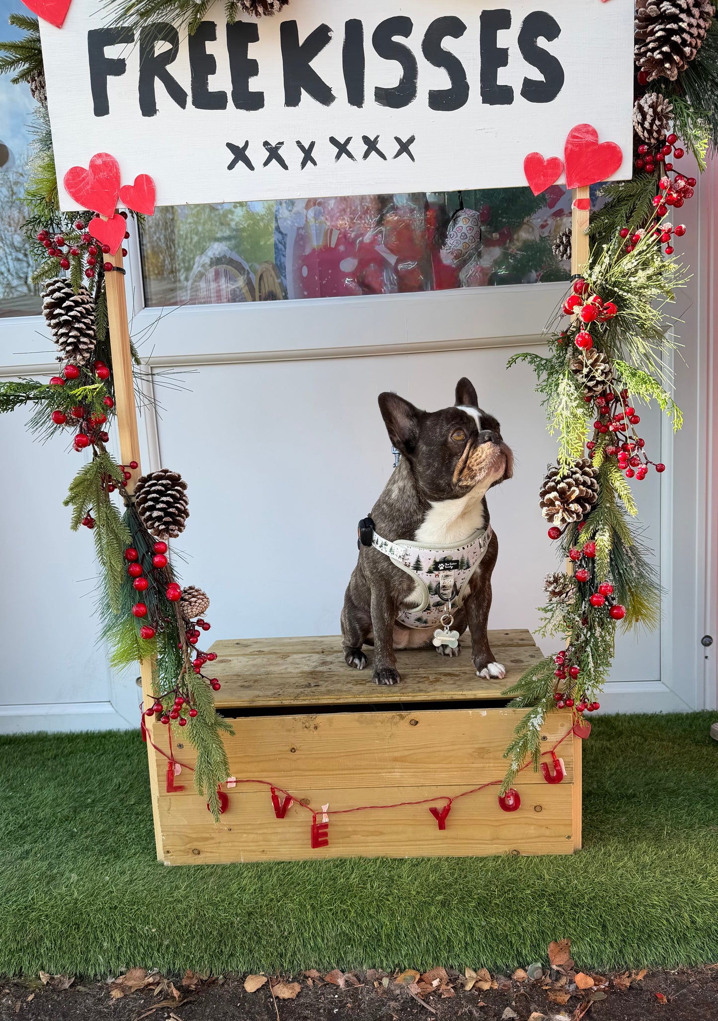 Tails of the Forest harness