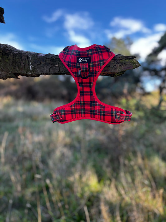 Tartan Tails Harness