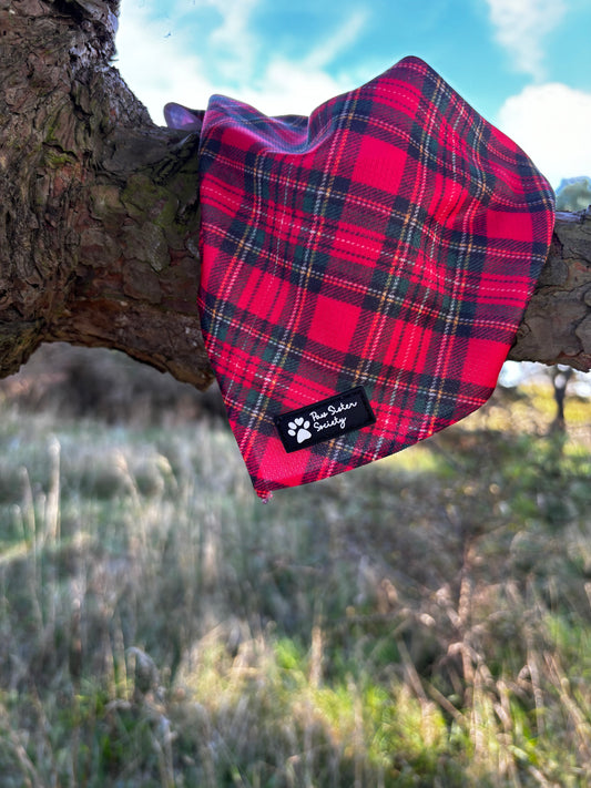 Tartan Tails Bandanas