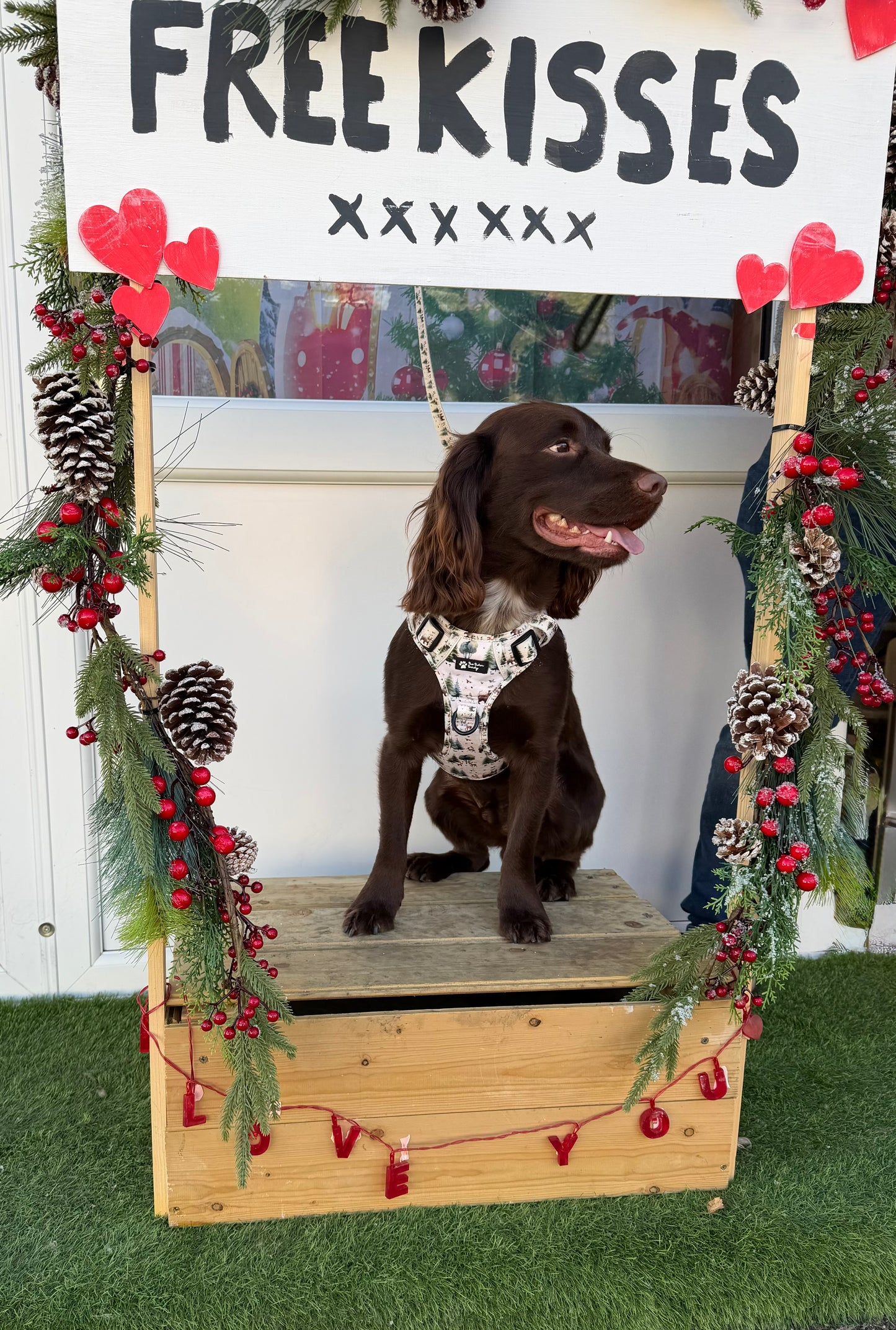 Tails of the Forest harness