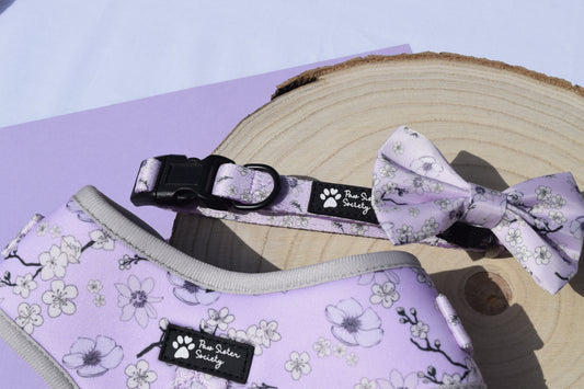 'Lilac Haze' Collar