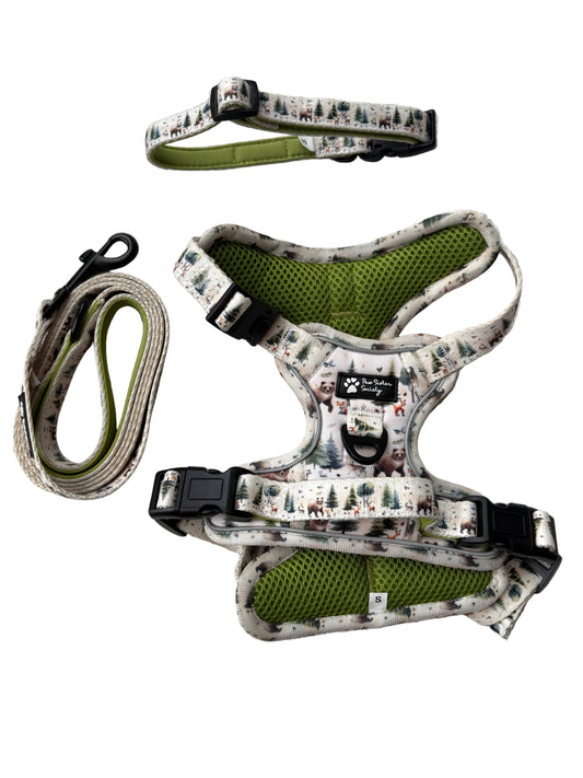 Tails of the Forest Bundle