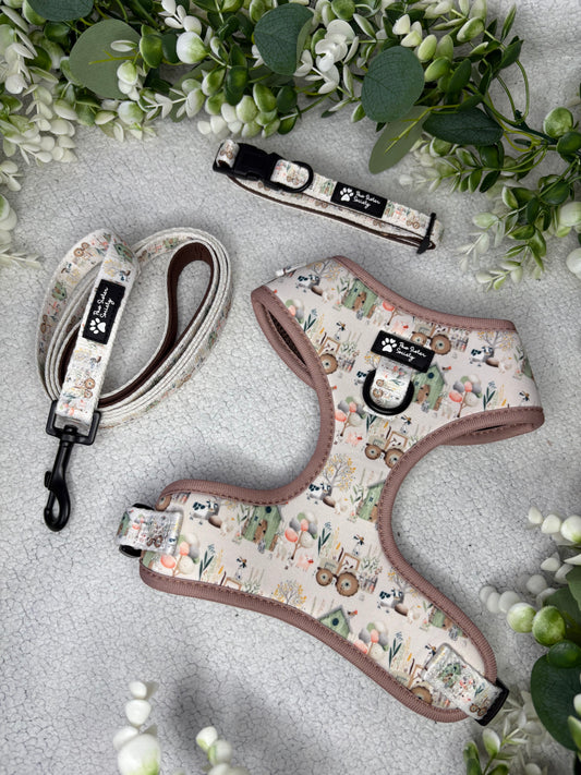 Blush Meadows Bundle