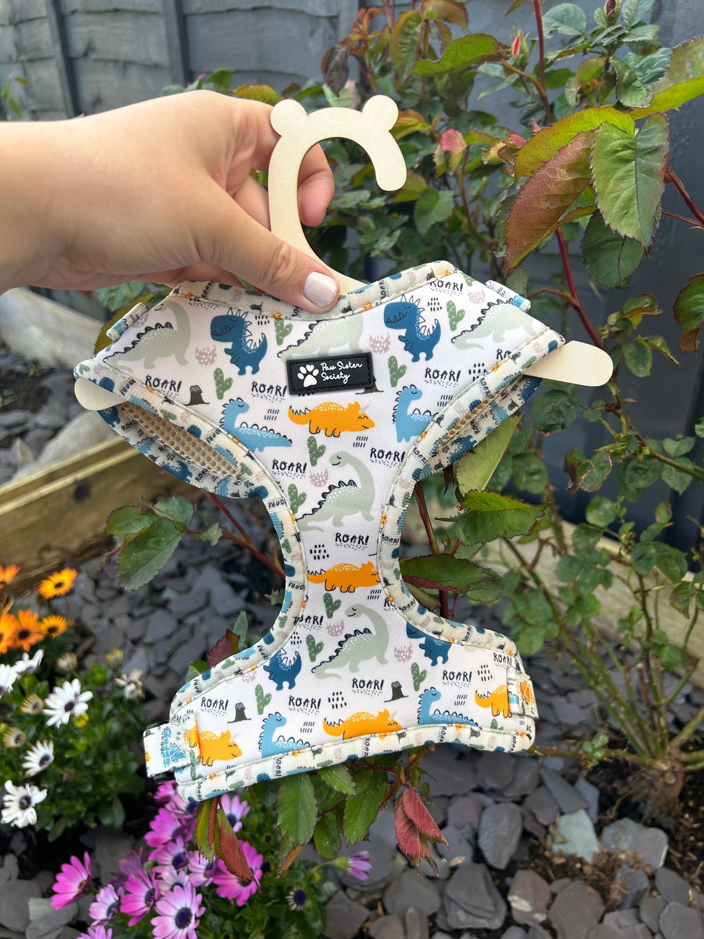 'Talk Dino to me' Harness