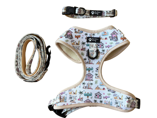 Palm & Paws Bundle