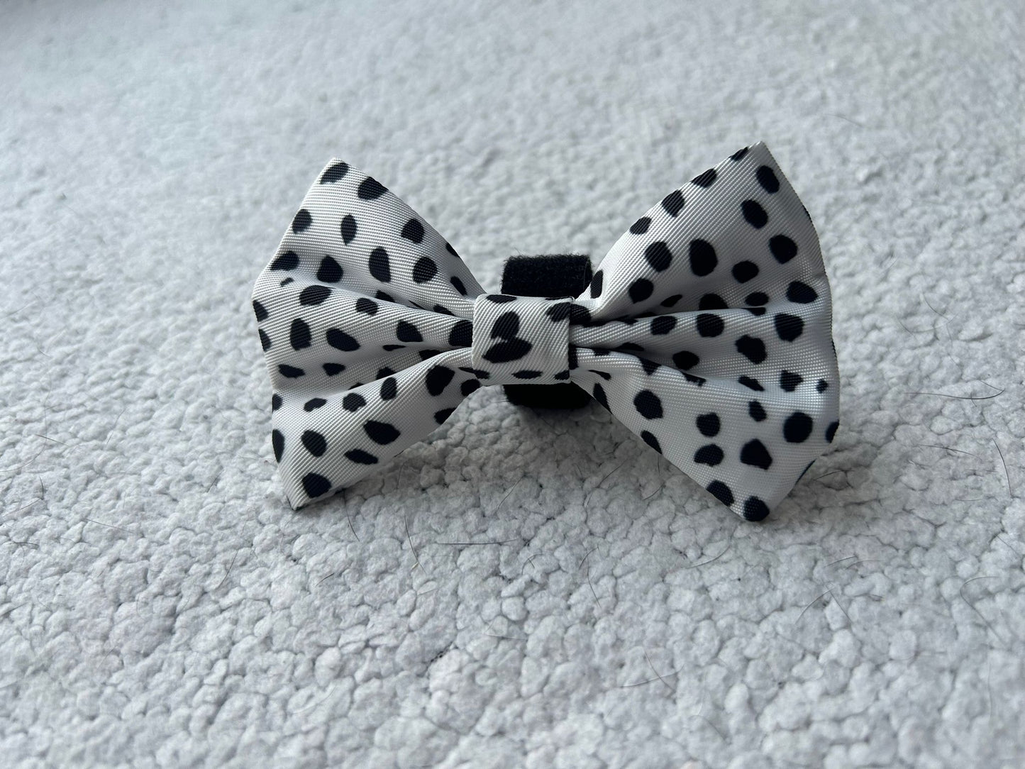 Cruella's life Bow