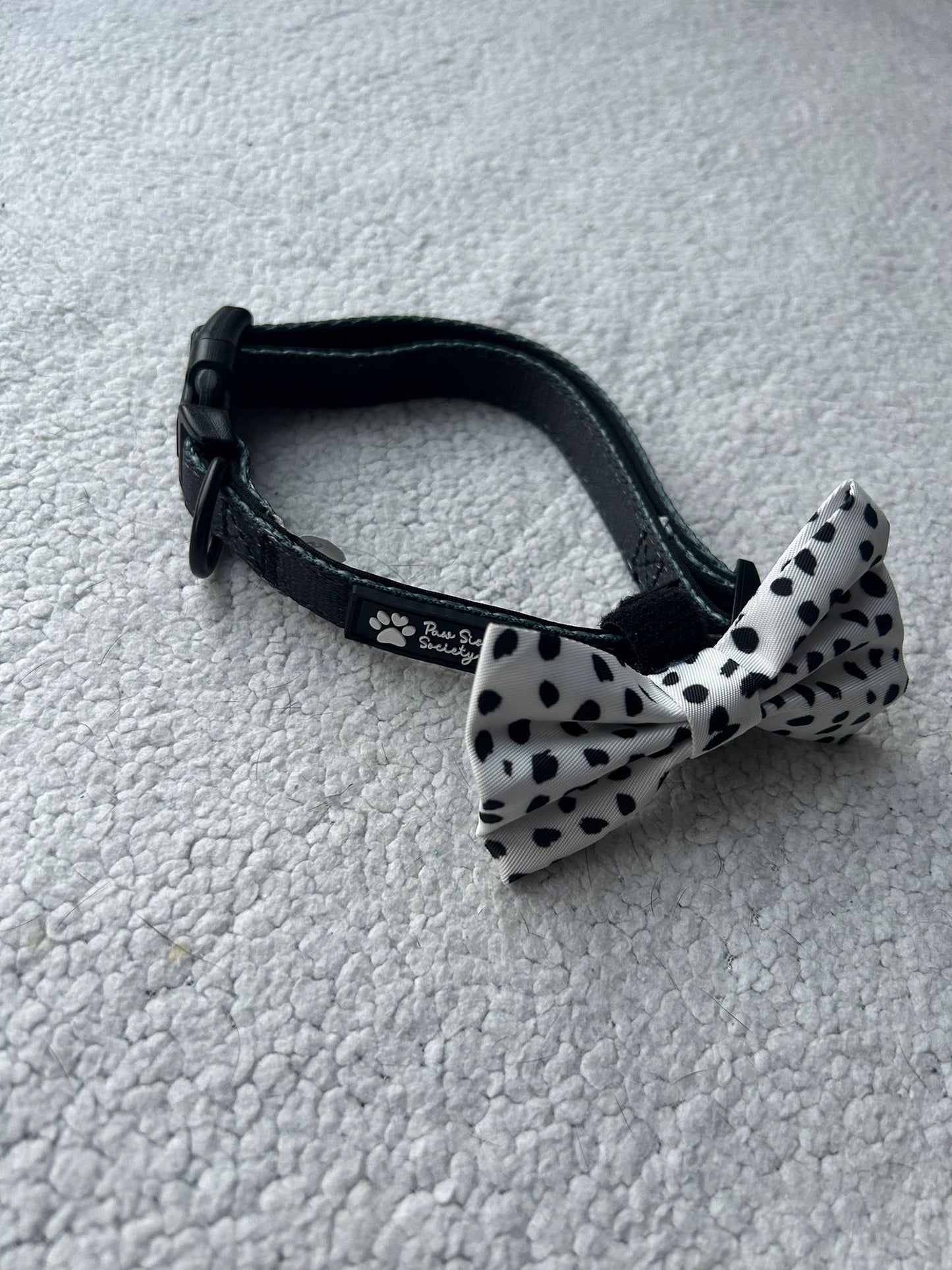 Cruella's life collar