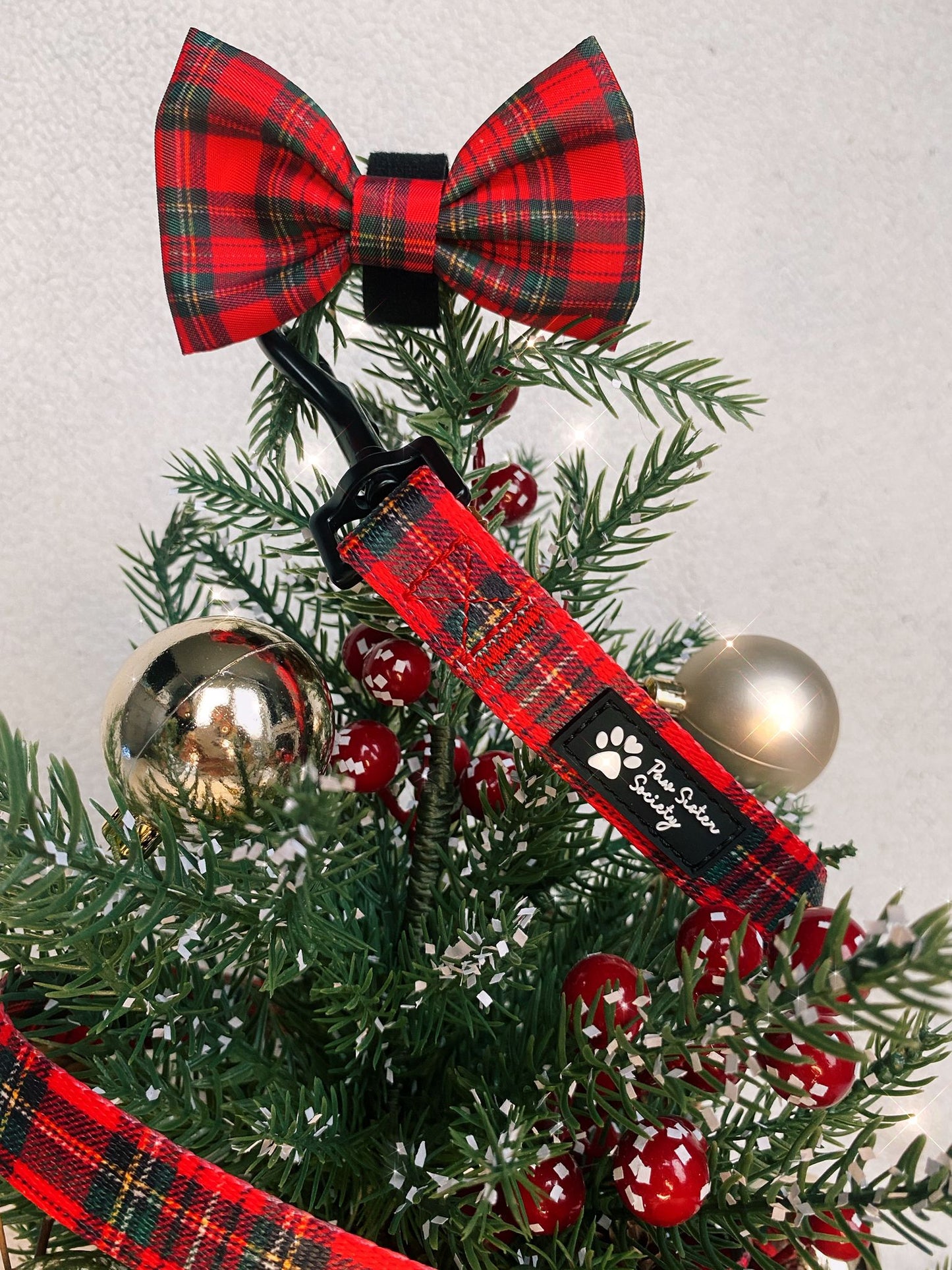 Tartan Tails Bow